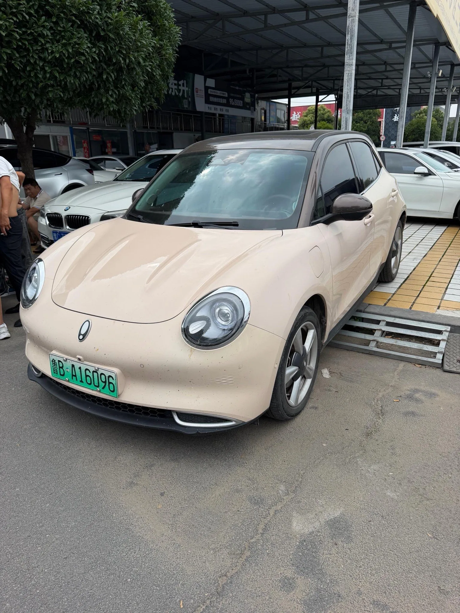 Oula Good Cat 2021 Model, 400 km Standard Range, Athena Edition, Ternary Lithium Battery