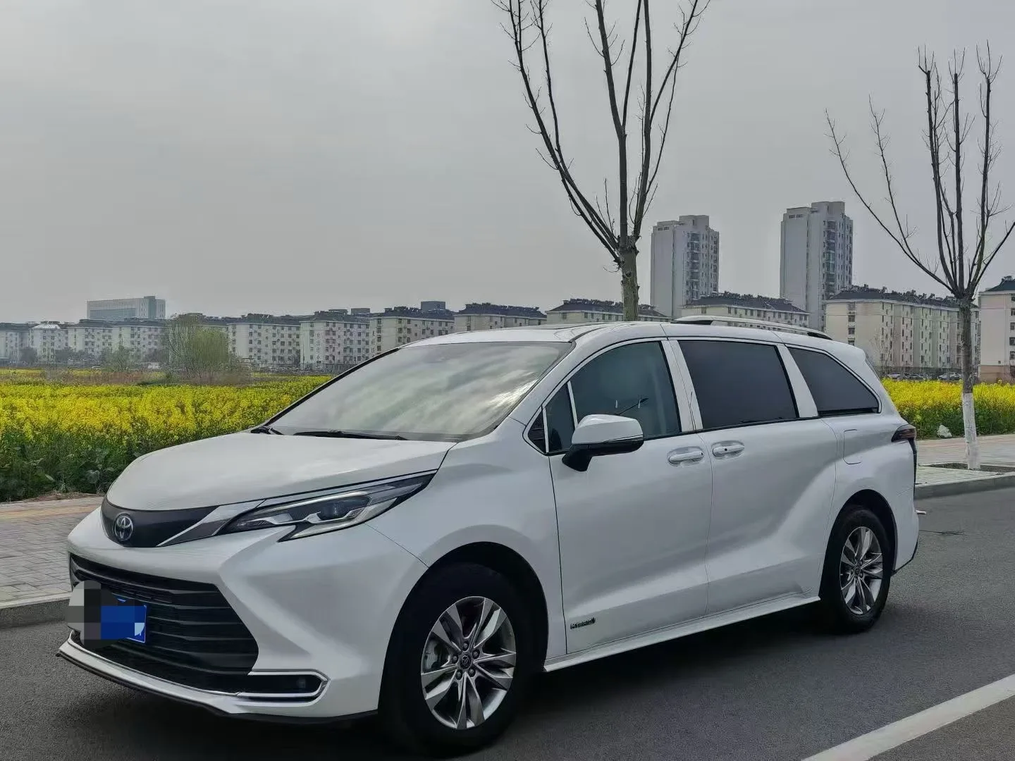 Toyota Cana 2023 2.5L CVT Premium Edition Automatic
