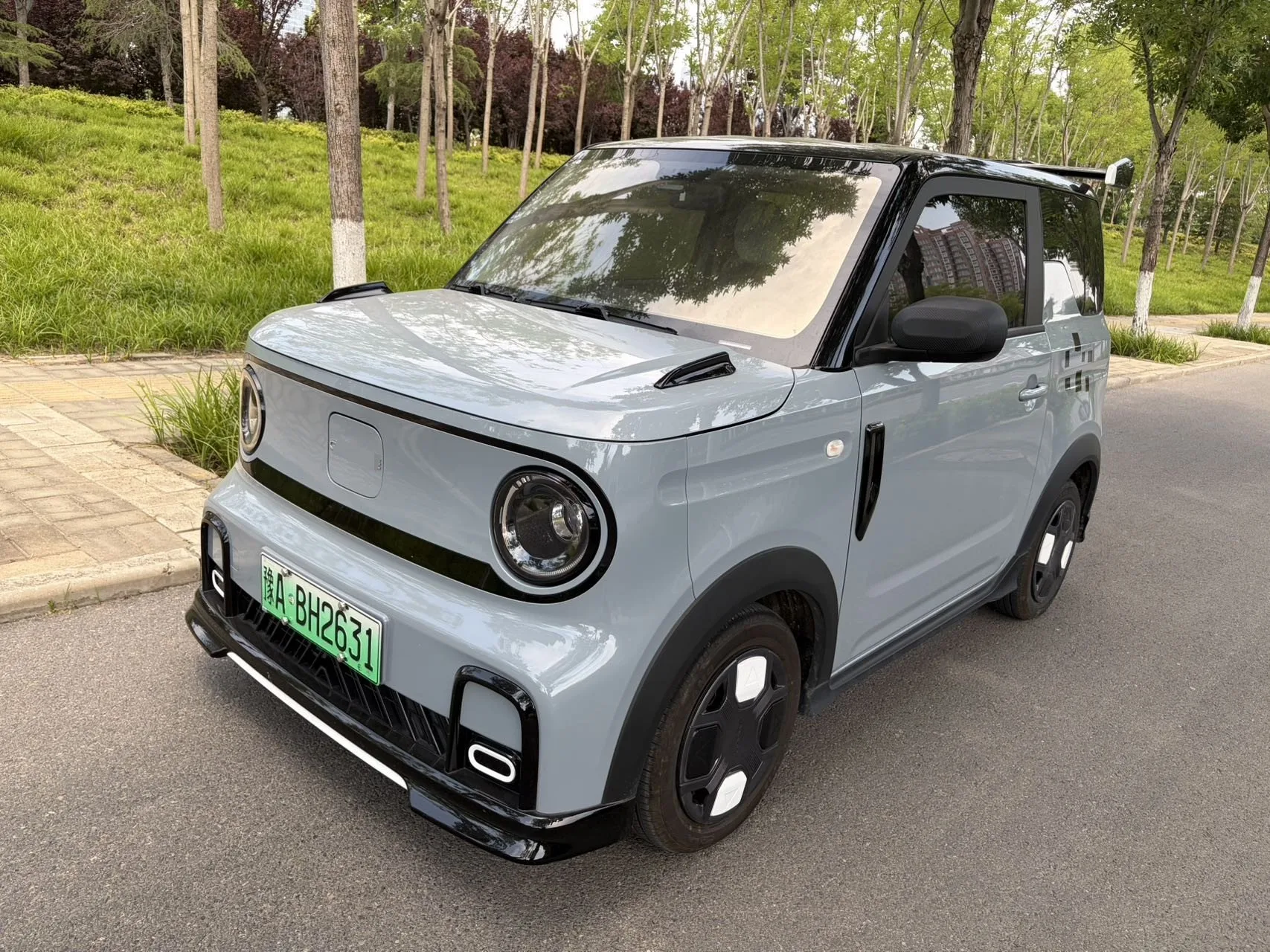 Geely 2025 Panda MINI 210km Panda Go-Kart Automatic
