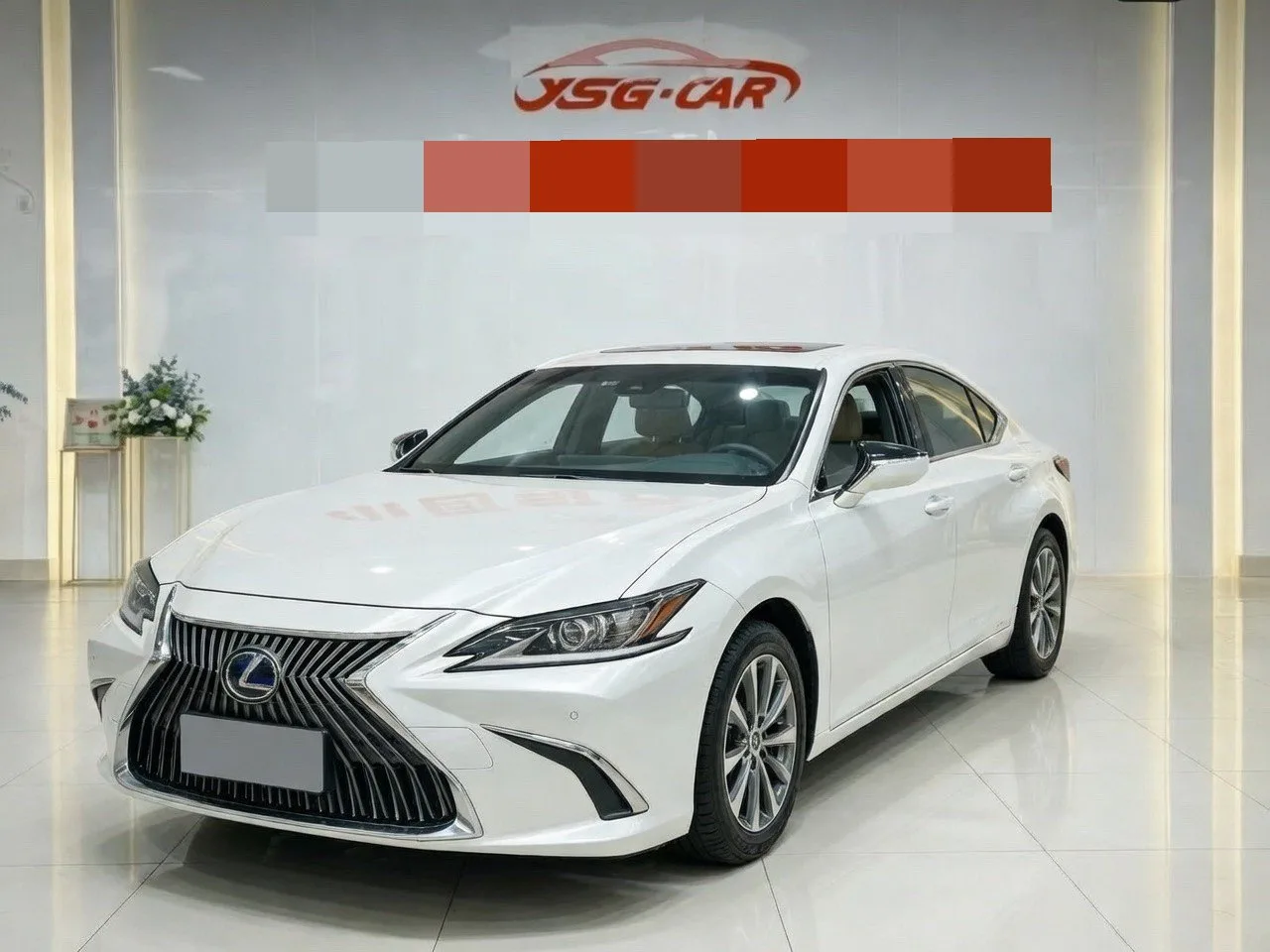 Lexus ES 2018 200 Premium Edition (China V Emission Standard)