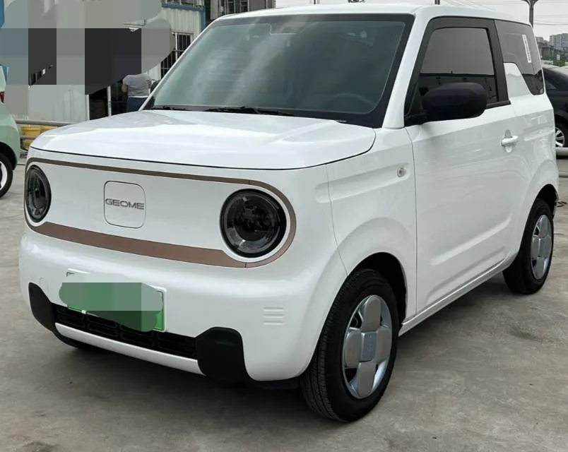 Panda 2024 Panda Mini 200km Endurance Bear