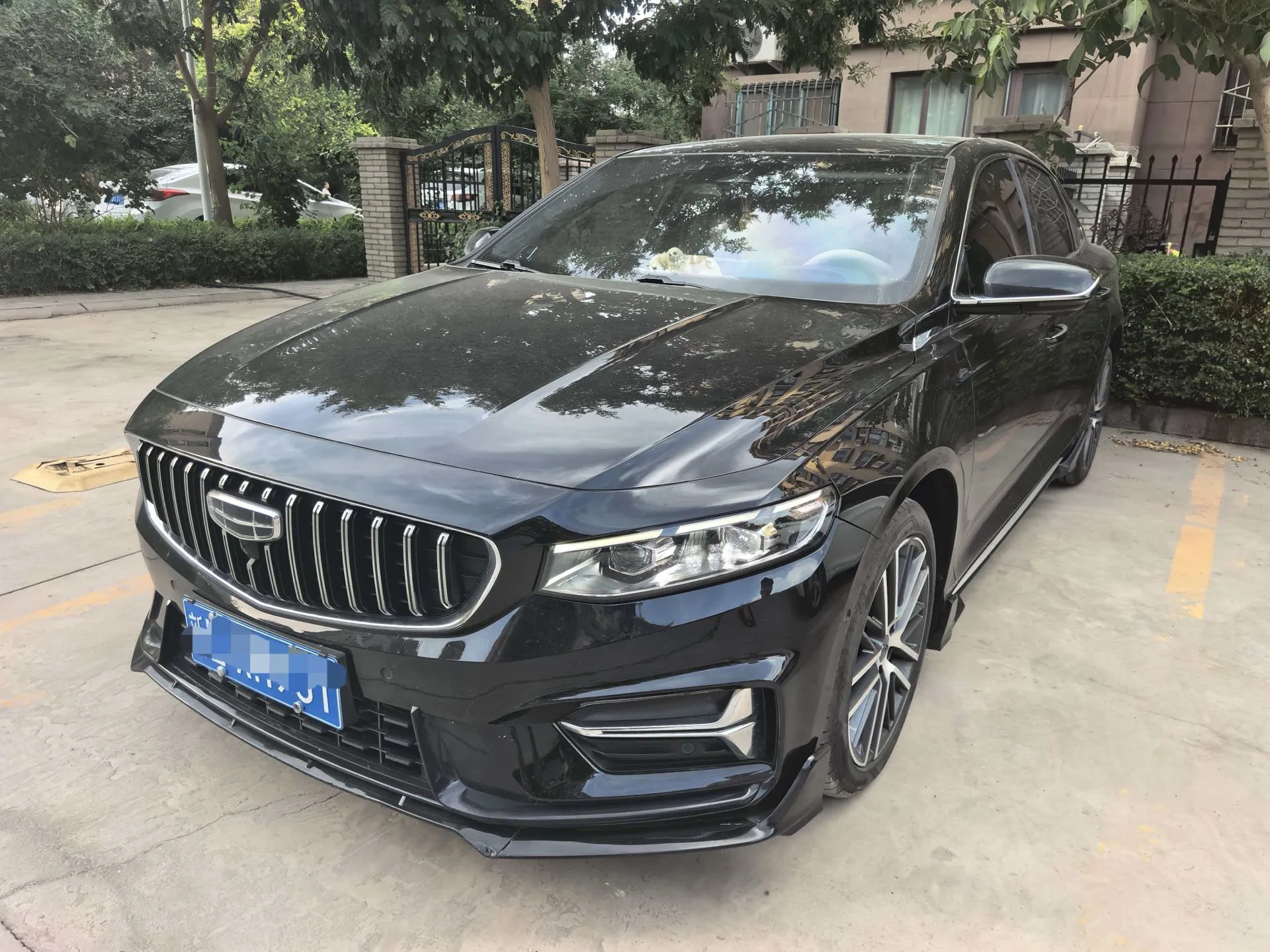 Xingrui 2023 2.0TD - Only Available in Light Green Edition