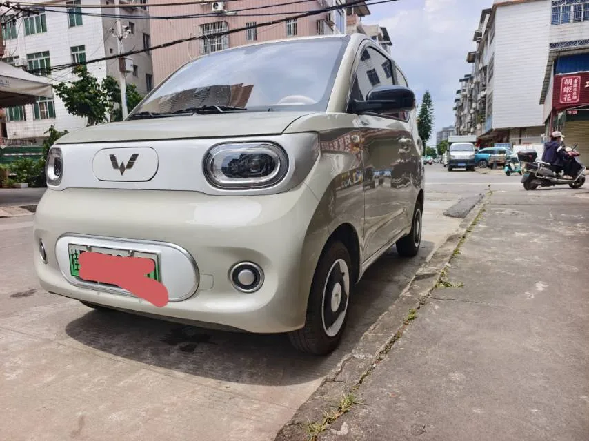 Wuling 2024 Hongguang MINI EV 215km Youth Edition Automatic