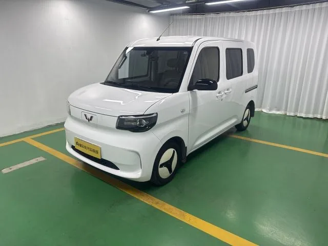 Wuling Sunshine New Energy 2025 Model 201km Standard Edition
