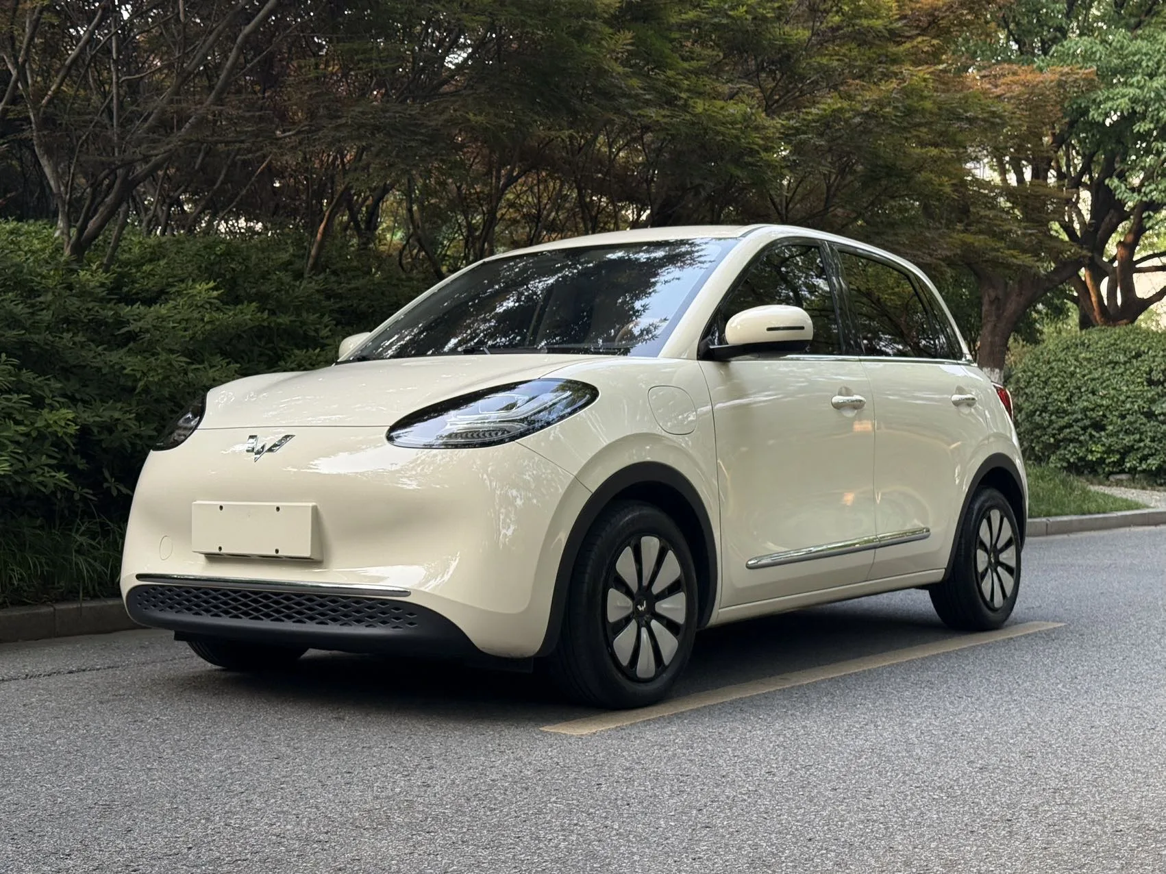 Wuling 2025 Bingo 333km Smart Connect Edition Automatic