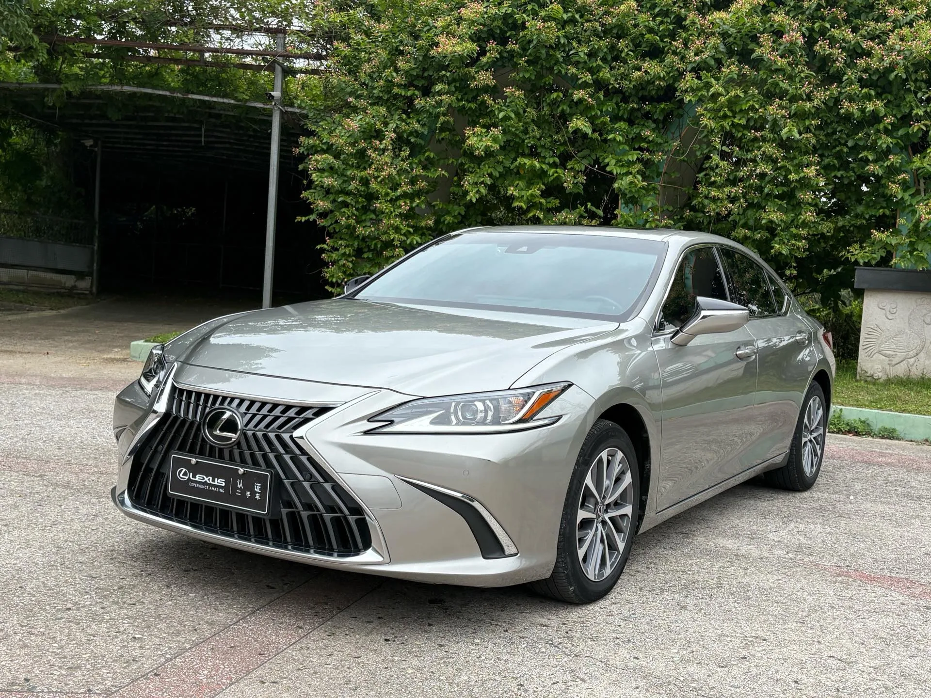 Lexus ES 2021 260 Premium Edition