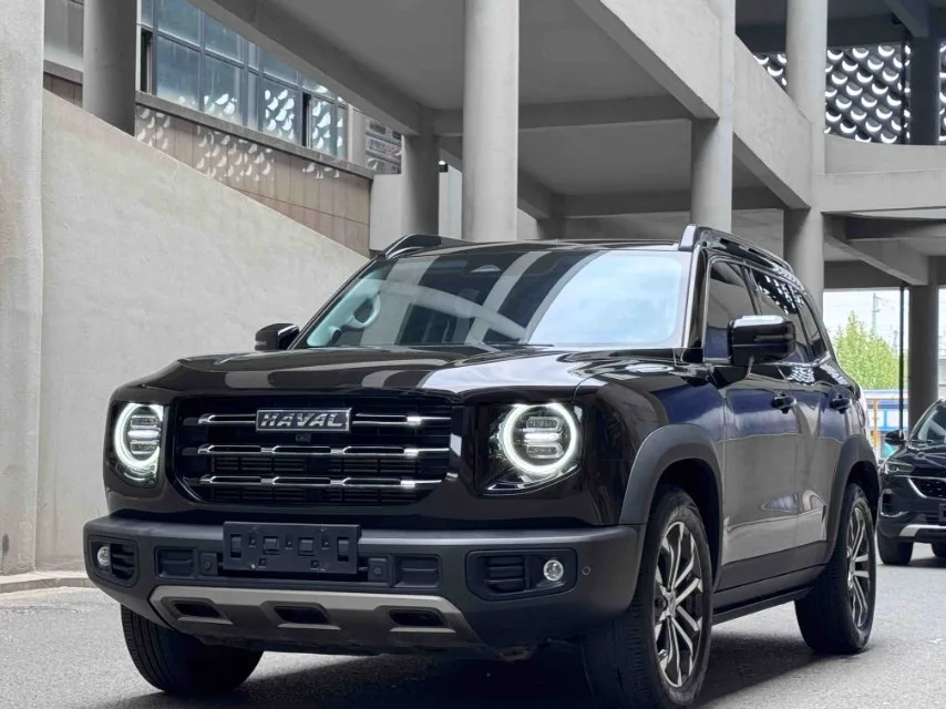 Haval Big Dog 2021 1.5T DCT 2WD Border Collie - Lucky Edition