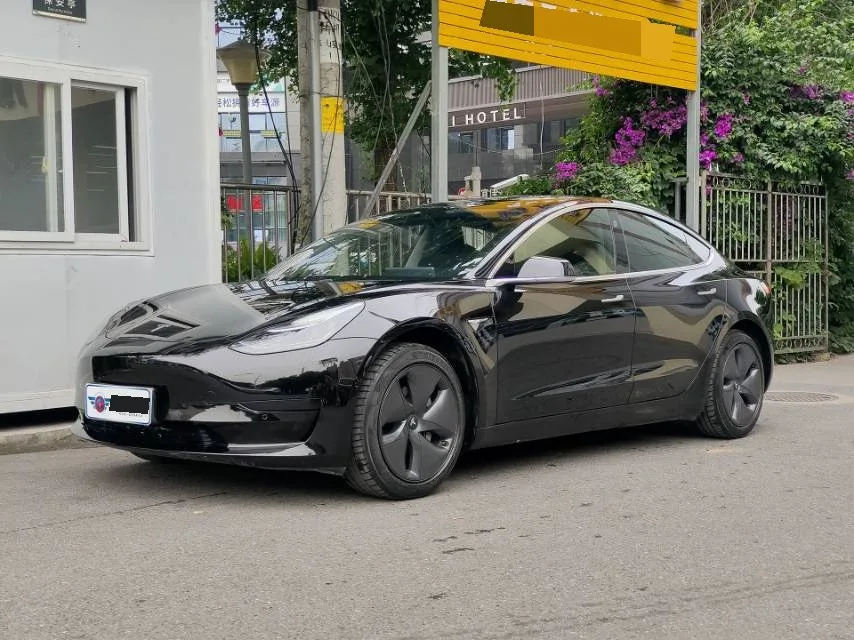 2020 Model 3 Standard Range RWD Plus