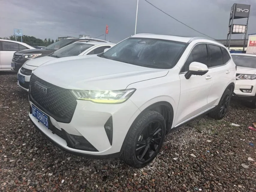 Haval H6 2021 Model, Third Generation, 2.0T Automatic Two-Wheel Drive Max