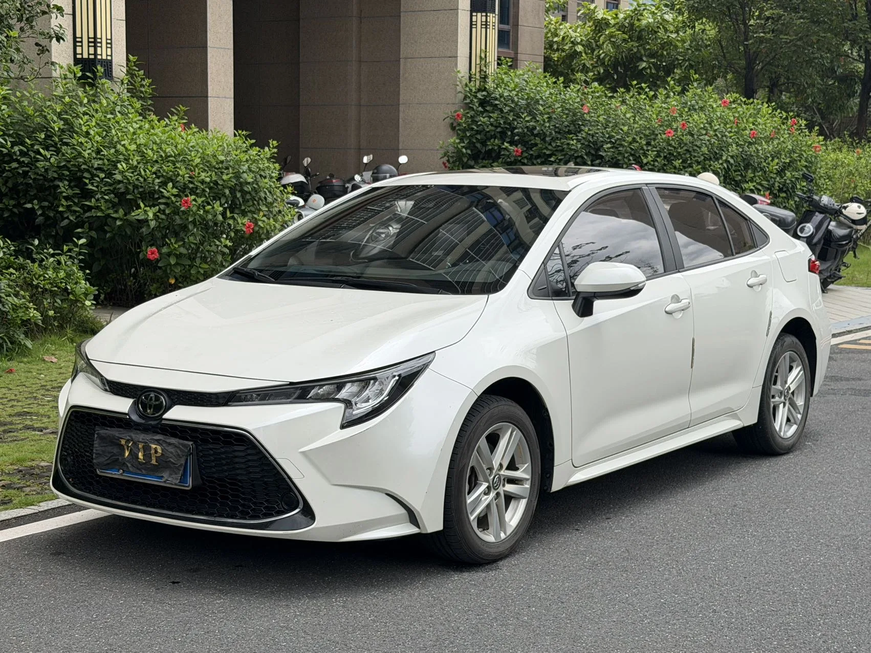 Levin 2019 185T CVT Luxury Edition (National V Emission Standard)