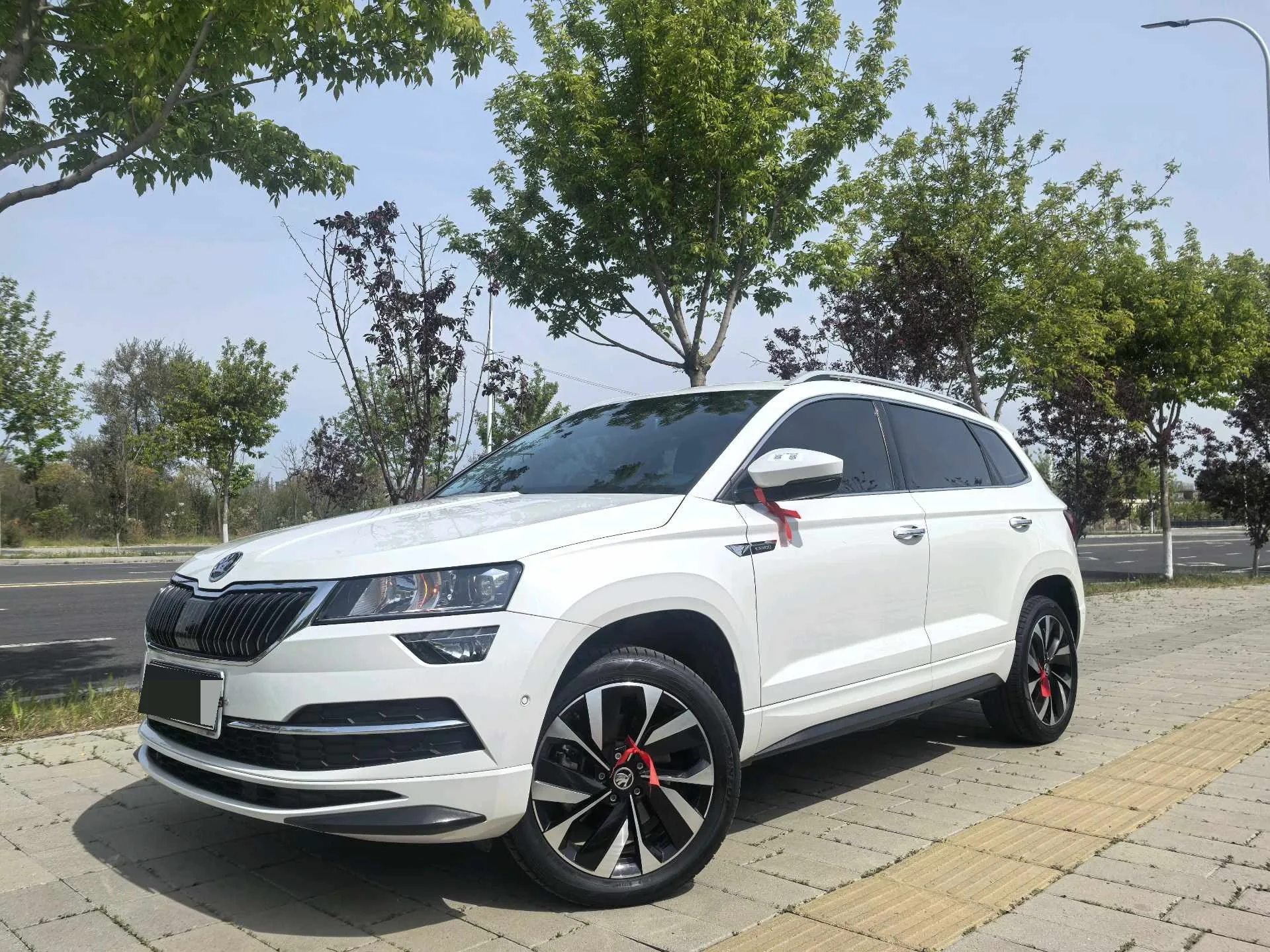 Karoq 2022 TSI280 Luxury Edition
