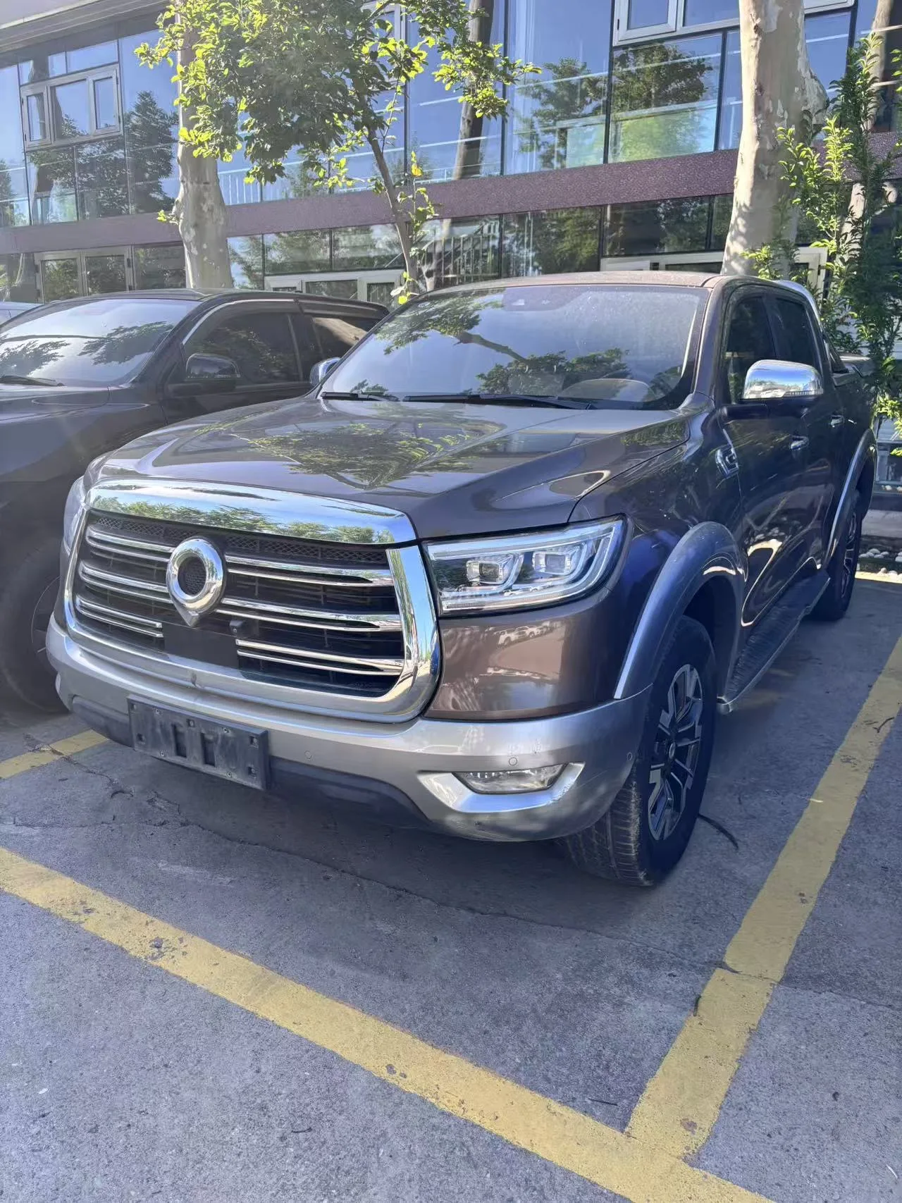 Pao 2019 Model Year 2.0T Automatic Gasoline AWD Premium Edition GW4C20B