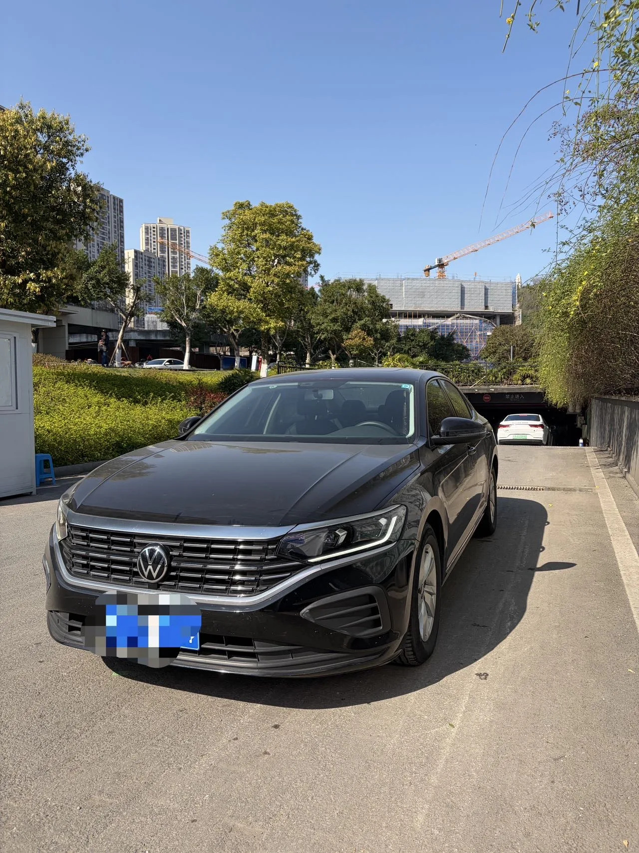  Passat