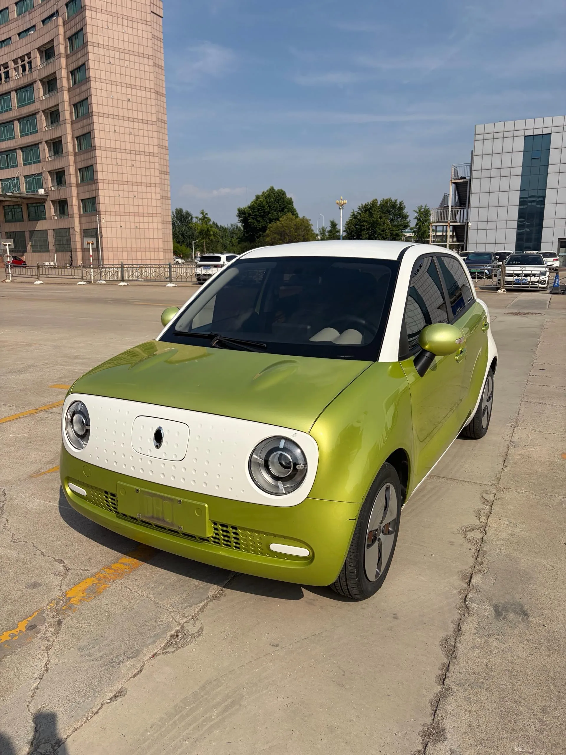 Euler Black Cat 2019 Model, 301 km, Standard Edition