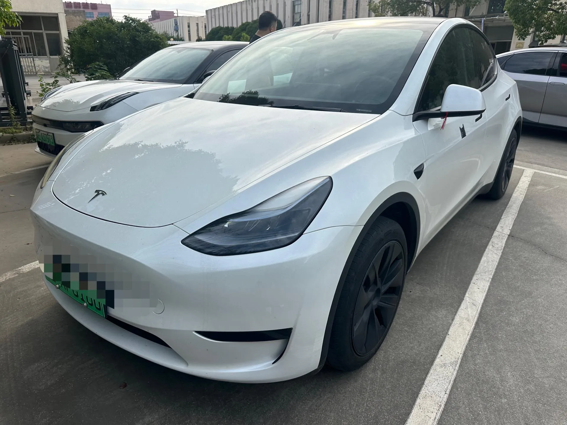 Model Y 2024 Rear-Wheel Drive