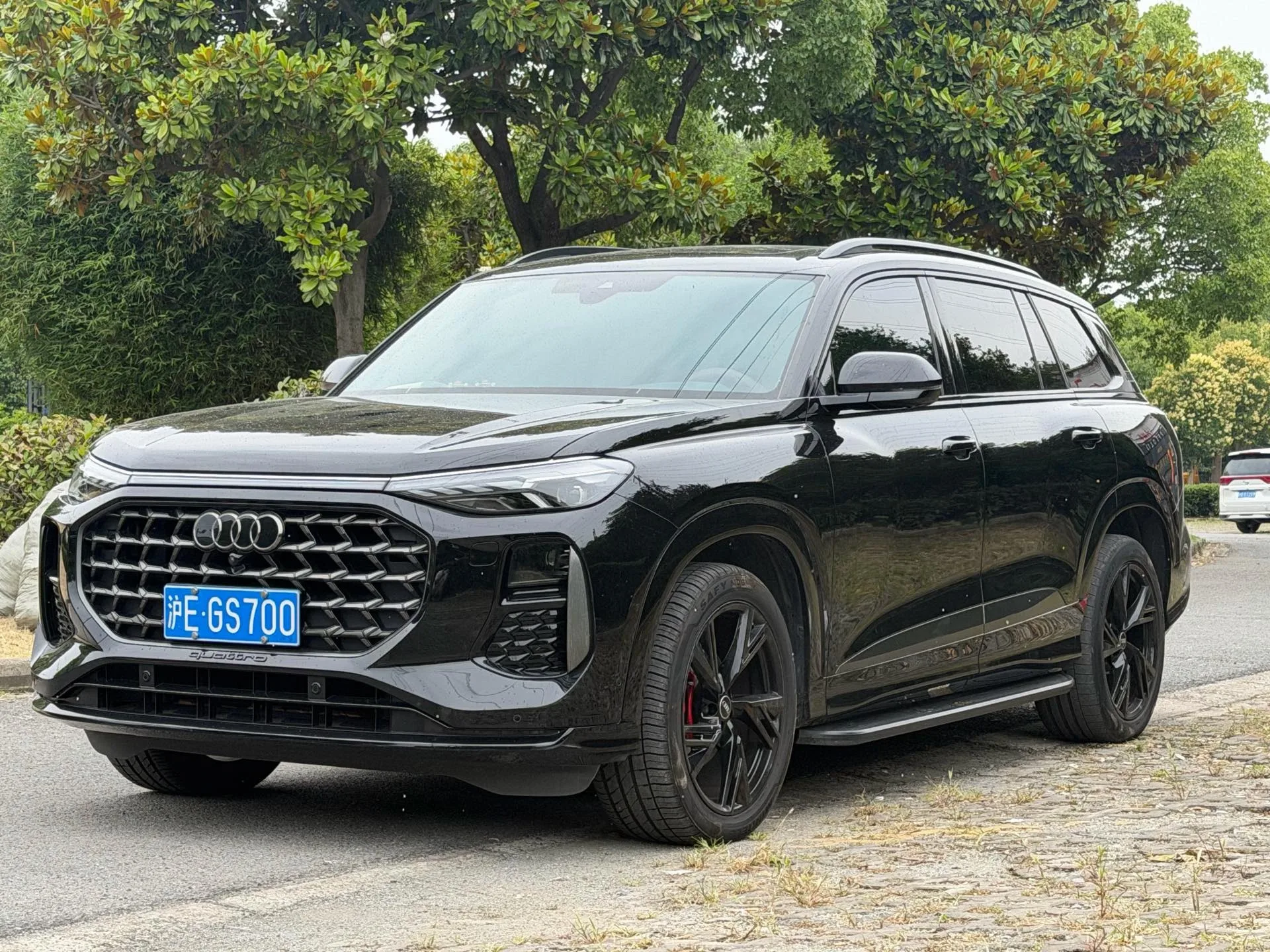 2024 Audi Q6 2.0 TFSI 45 TFSI Quattro Black Knight Edition 7-Seater Automatic