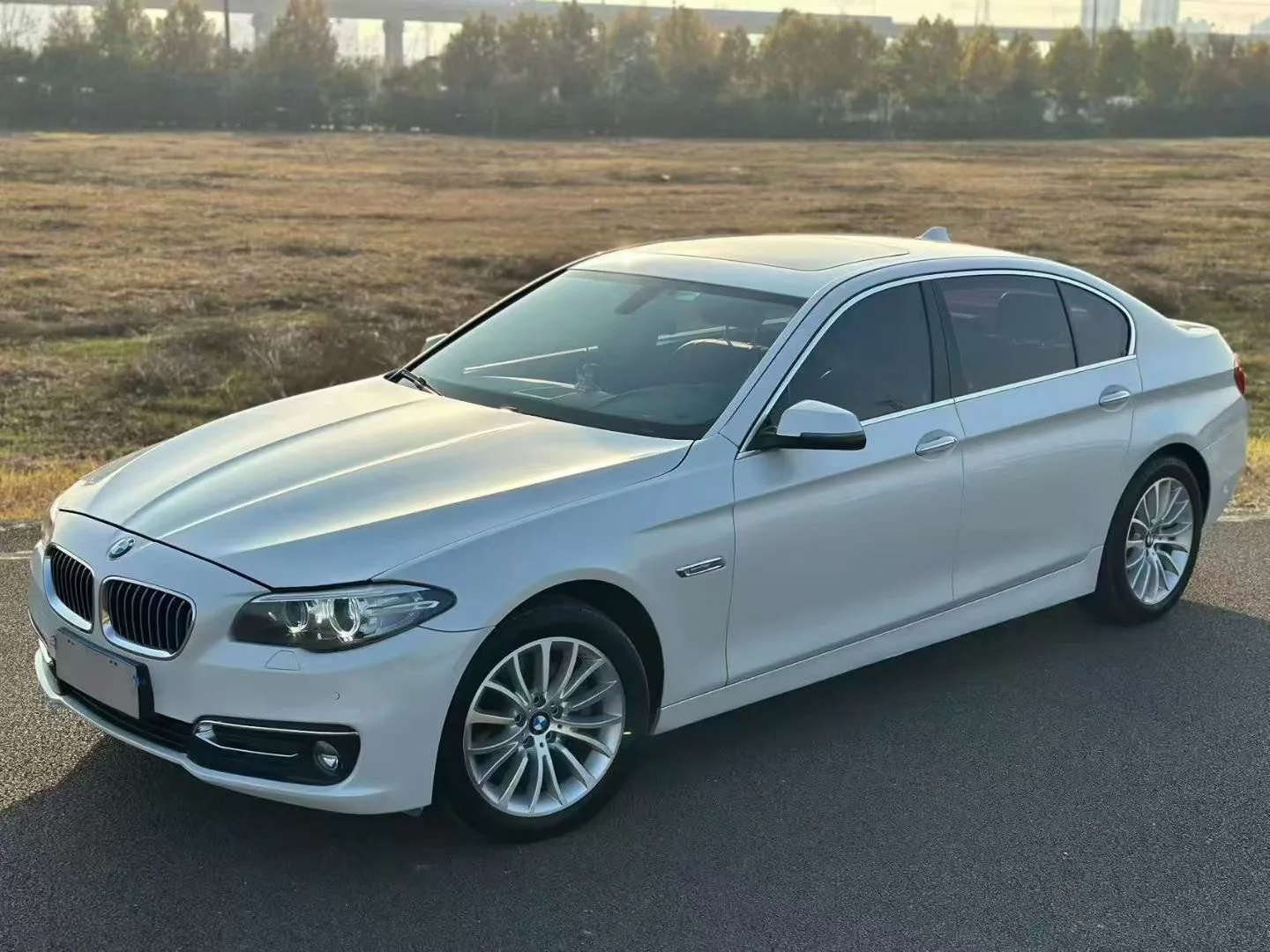 2017 BMW 5 Series 525Li Luxury Design Package