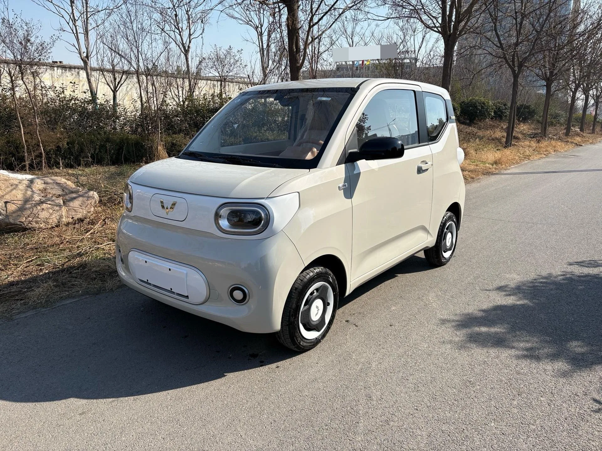 Wuling 2024 Hongguang MINI EV 215km Youth Edition Automatic