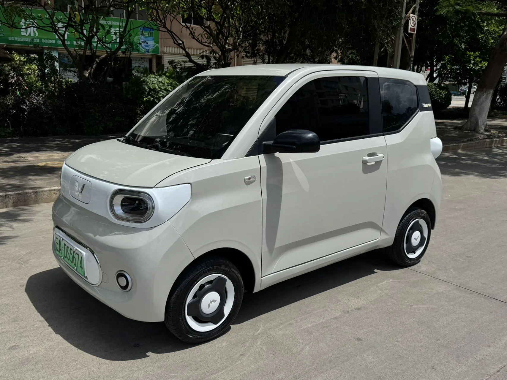 Wuling Sunshine New Energy 2025 Model 201km Standard Edition