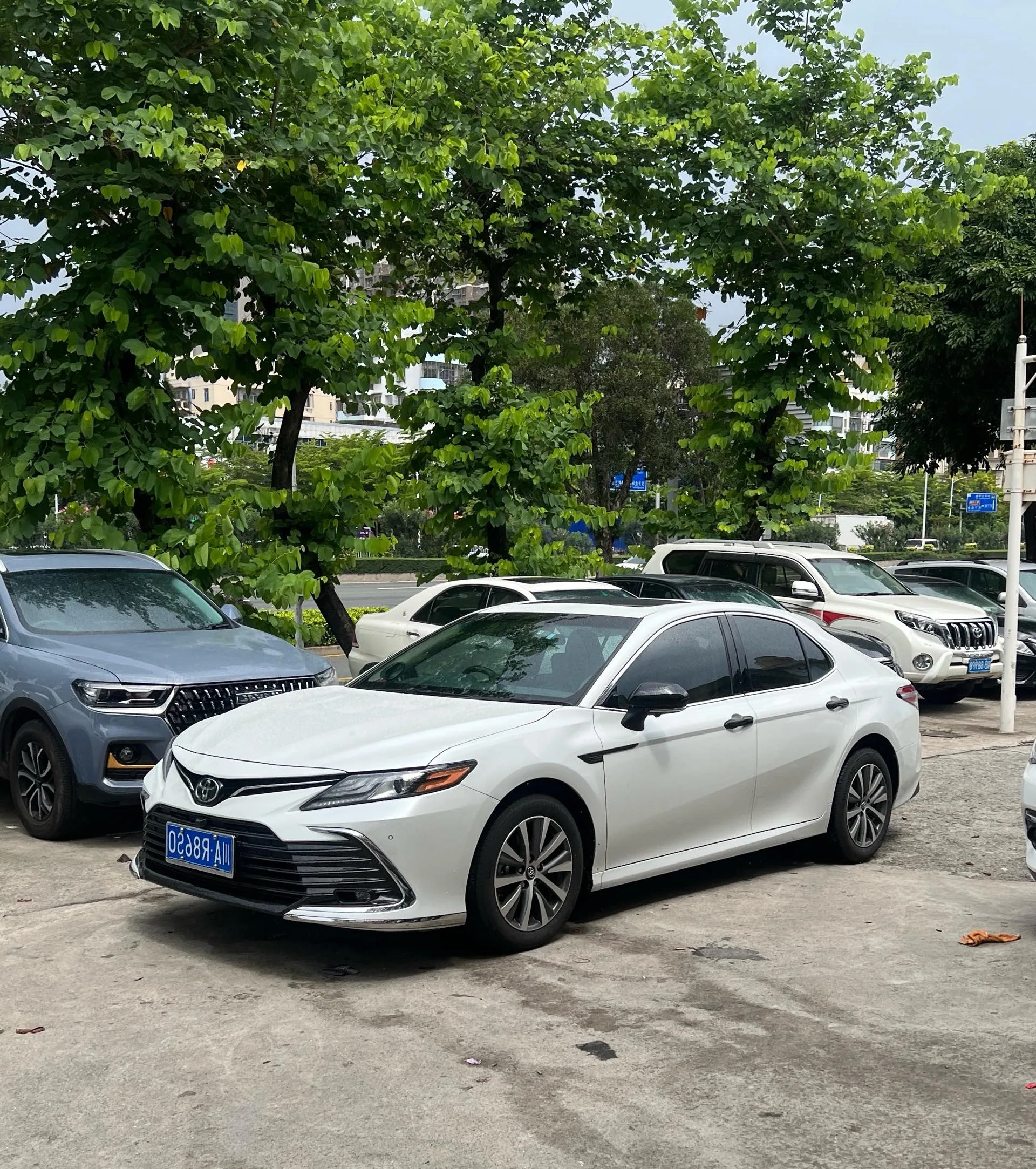 2021 Camry 2.0G Luxury Edition