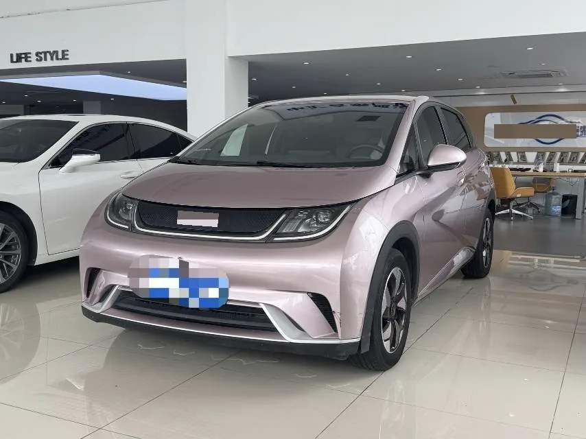 BYD Dolphin Glory