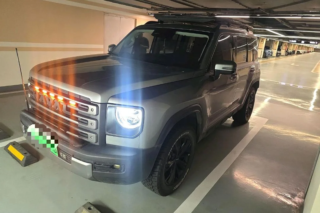 Haval Mongol 2024 Hi4 102 Pro