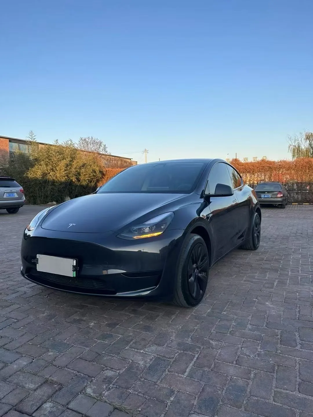 Model Y 2021 Standard Range Rear-Wheel Drive