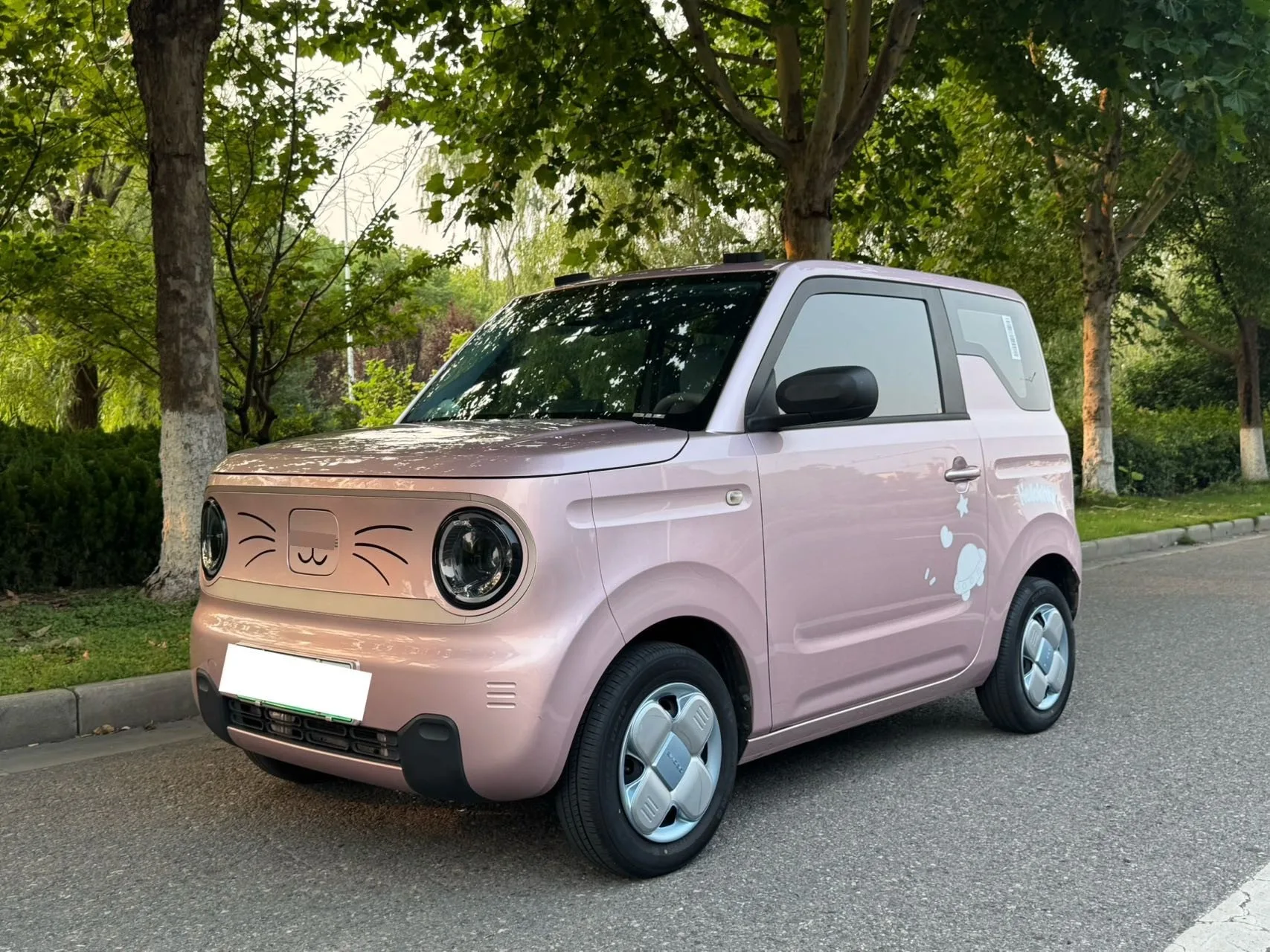 Panda 2023 Panda Mini 200km Endurance Bear