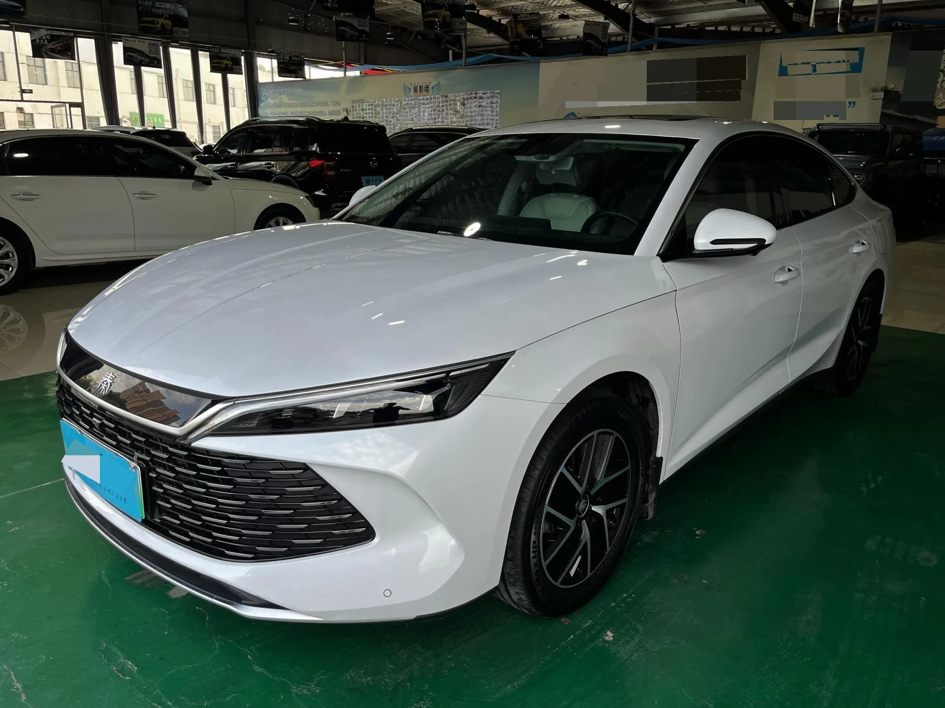Qin L 2024 DM-i 120KM Super Edition
