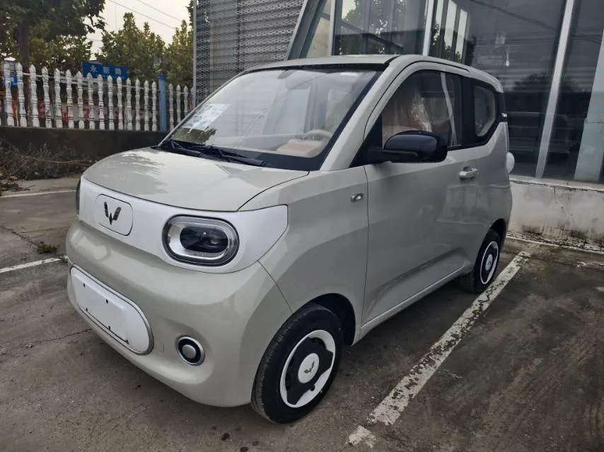 Wuling 2024 Hongguang MINI EV 215km Youth Edition Automatic