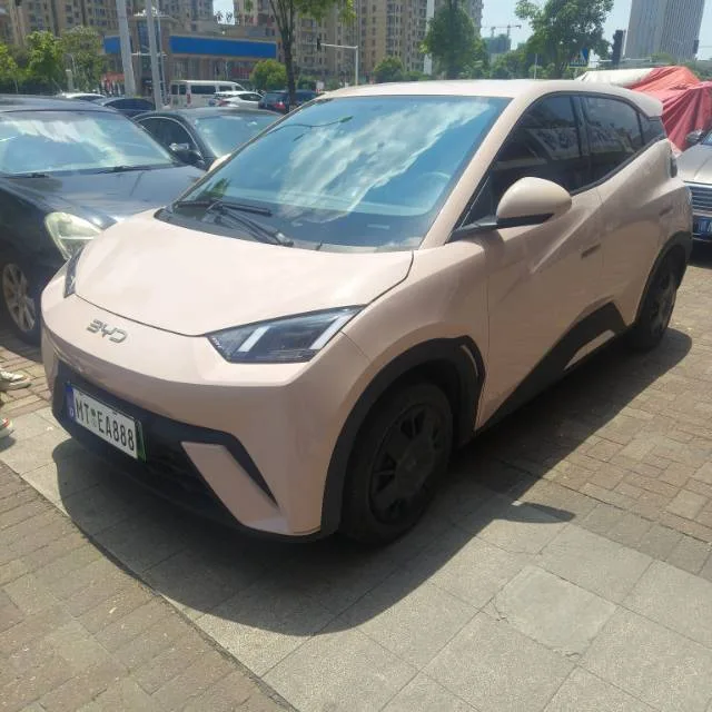 BYD 2023 Seagull Vitality Edition Automatic