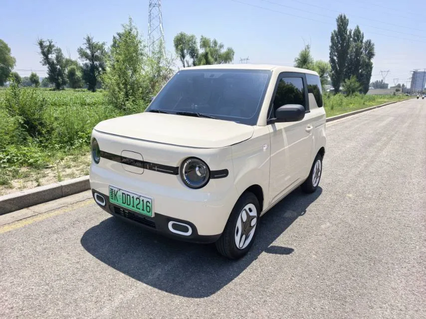 Geely 2025 Panda MINI 210km/h (Energetic Bear) Automatic Transmission