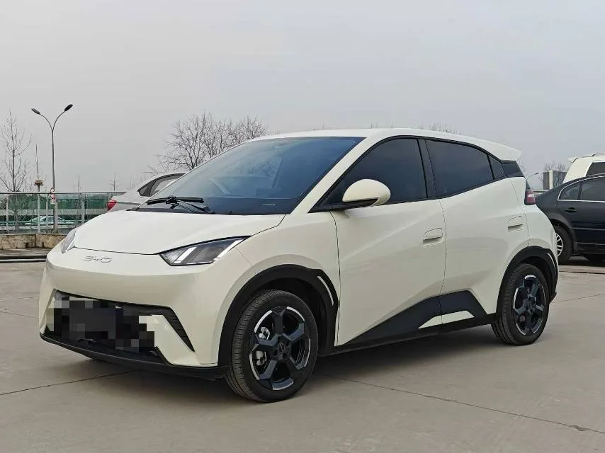 BYD 2023 Seagull Flying Edition Automatic
