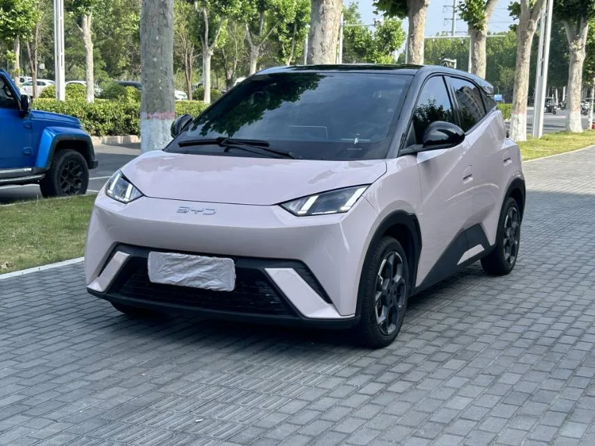 BYD 2025 Seagull 305km/h Freedom Edition Automatic