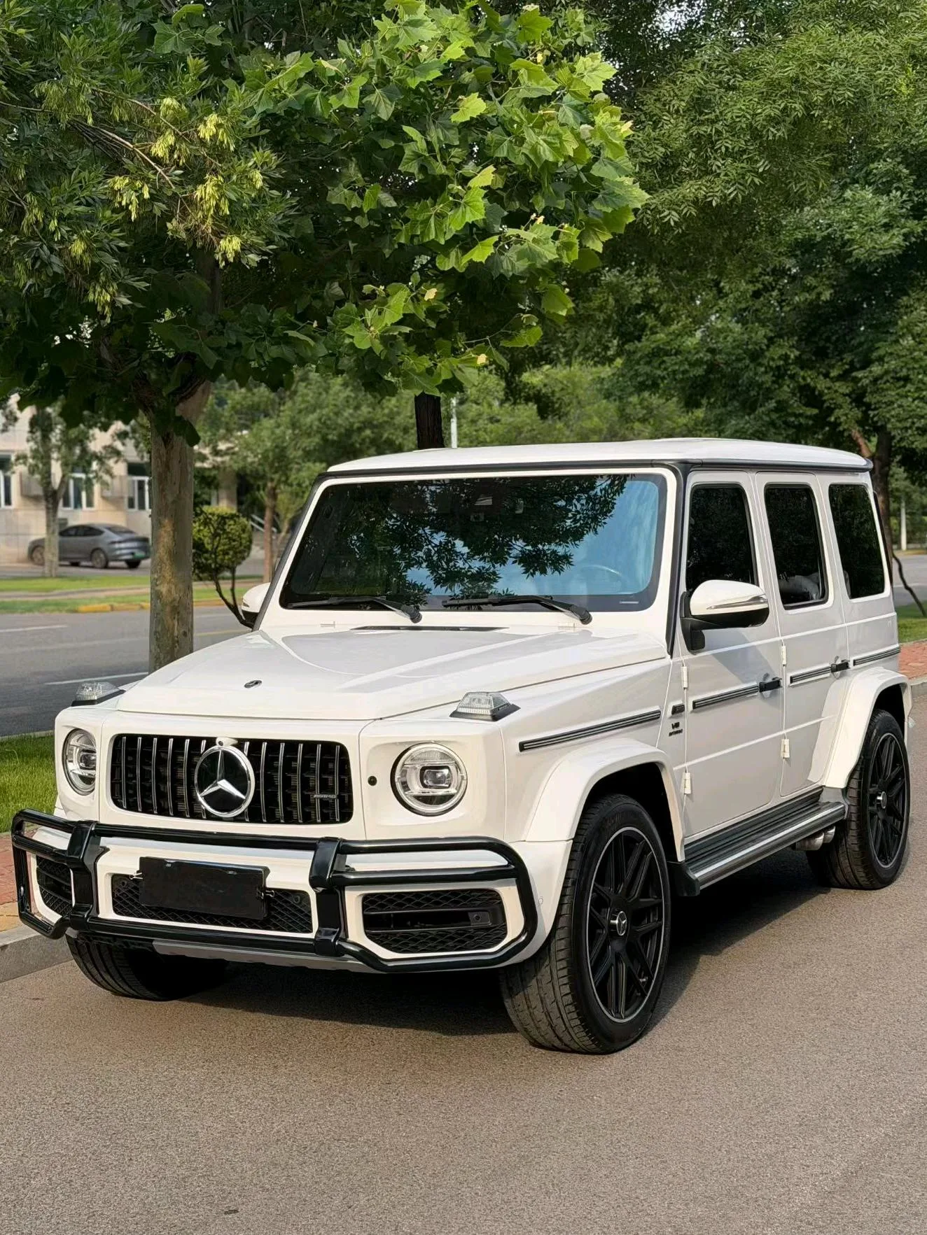 Mercedes-Benz G-Class (Imported) 2023 G 350 2.0T Automatic