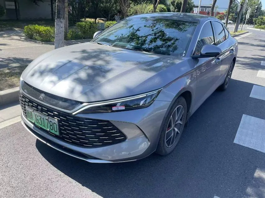 Qin L 2024 DM-i 120KM Leading Edition