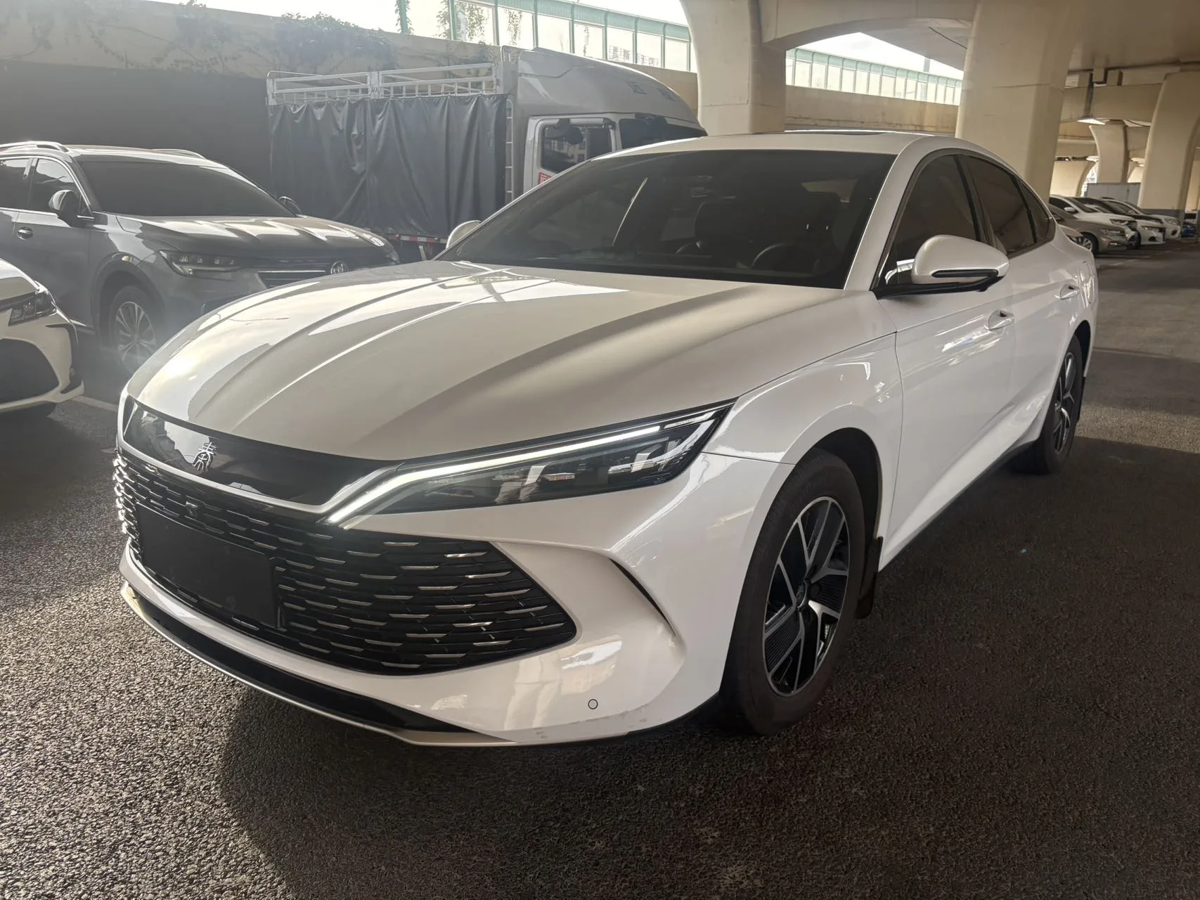 Qin L 2024 DM-i 120KM Leading Edition