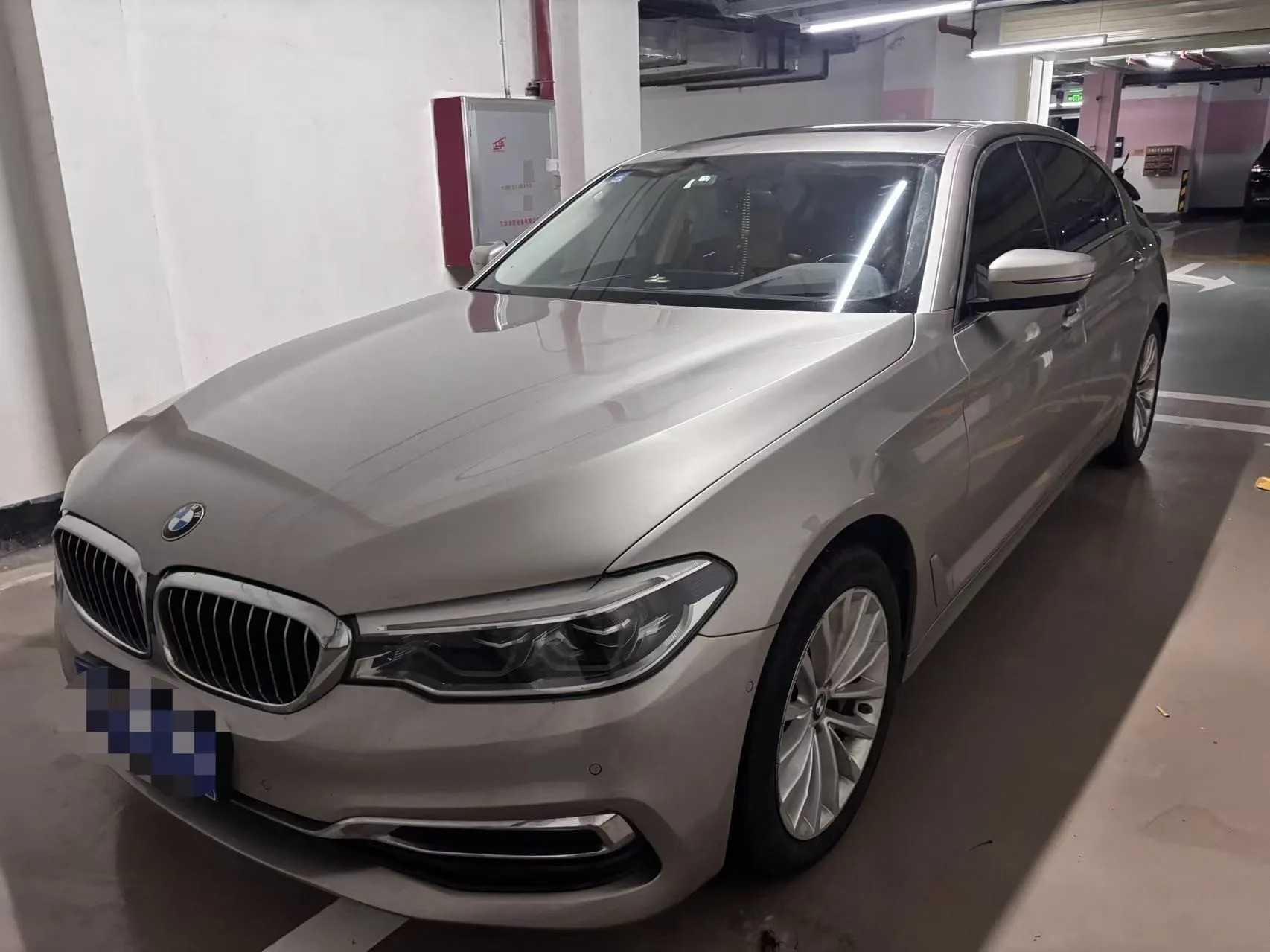 BMW 5 Series 2020 530Li Luxury Package