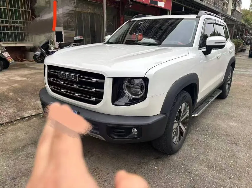 2021 Haval Great Dog 1.5T DCT FWD Border Collie Edition