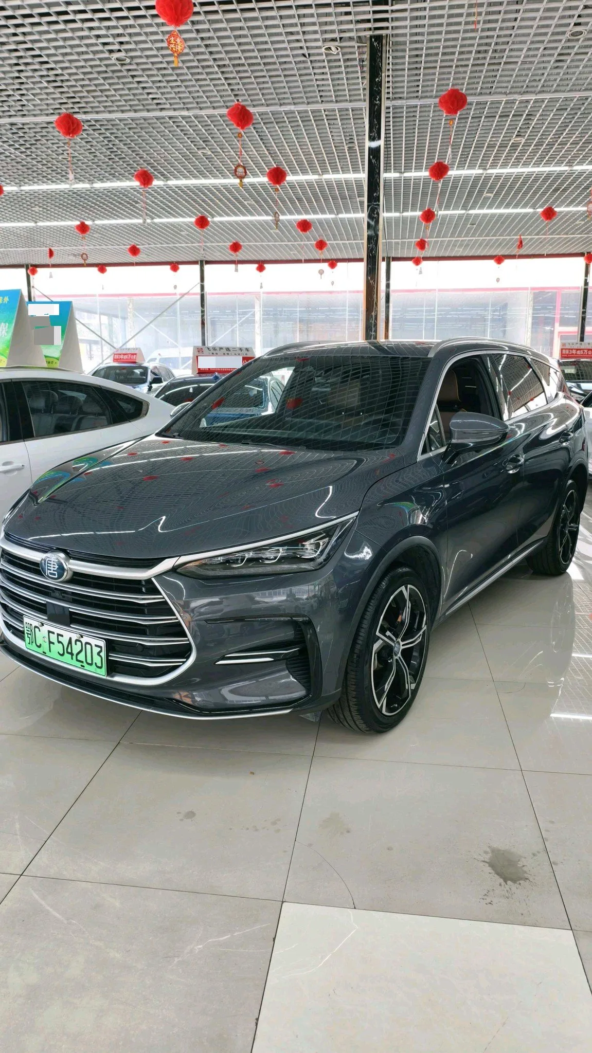 Tang New Energy 2021 DM-i 112KM Premium Edition