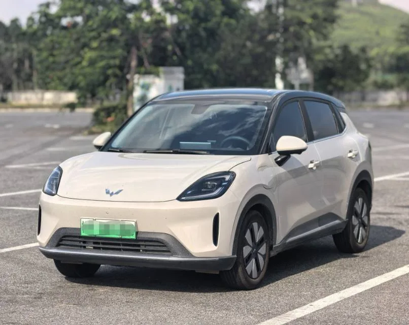 Bingo S 2025 Model 325km Premium Edition