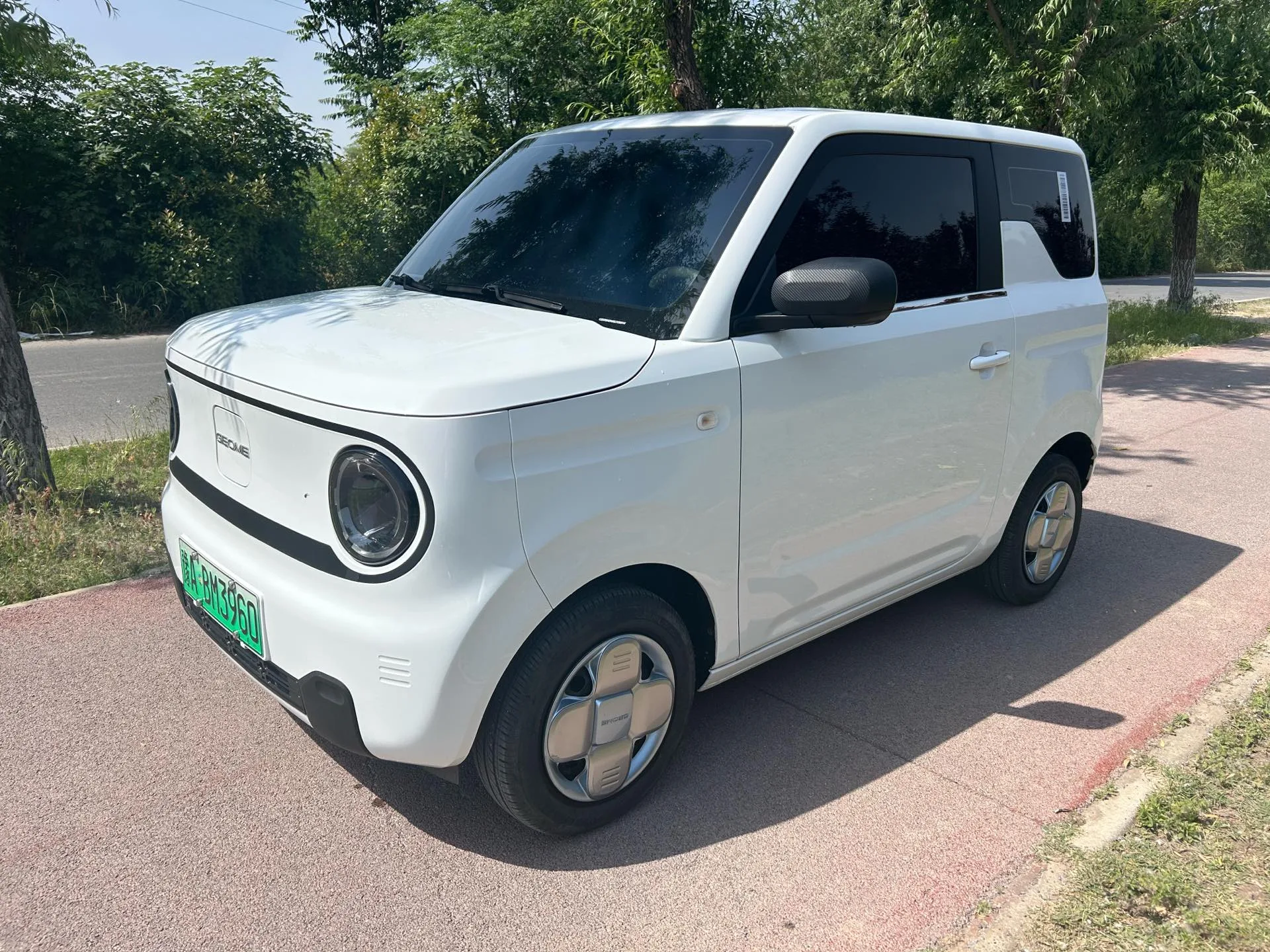 Panda 2024 Panda Mini 200km Endurance Bear