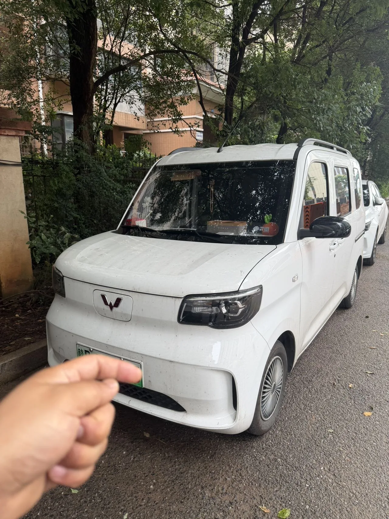 Wuling Sunshine New Energy 2025 Model 305km/h Progressive Edition