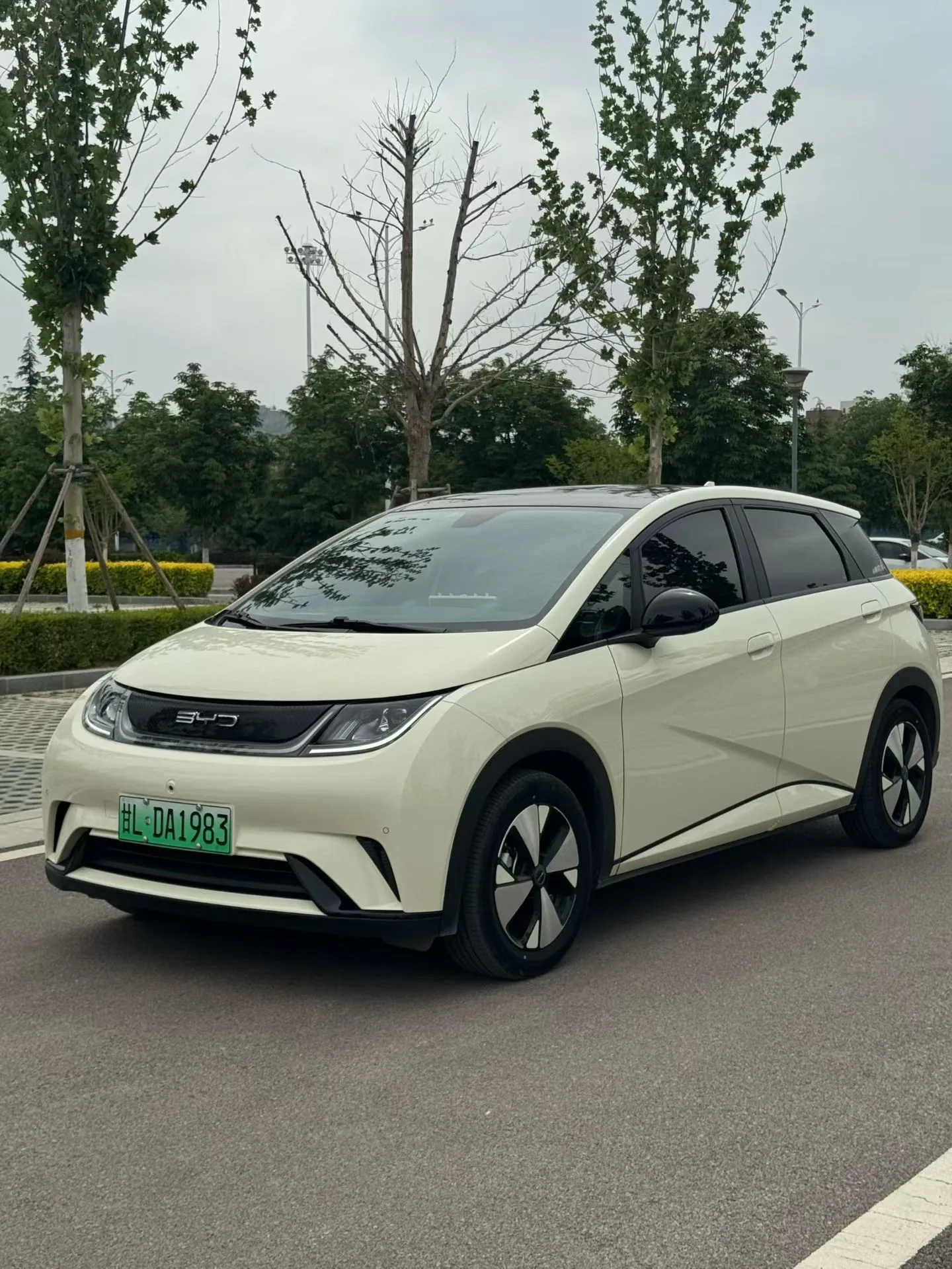 BYD 2023 Dolphin 420km Fashion Edition Automatic