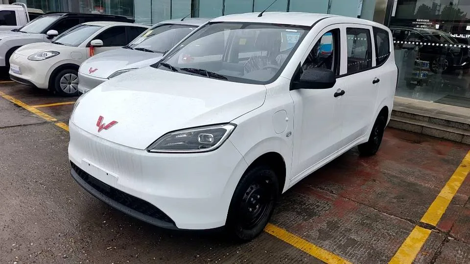 Wuling Hongguang New Energy 2024 Pure Electric Version