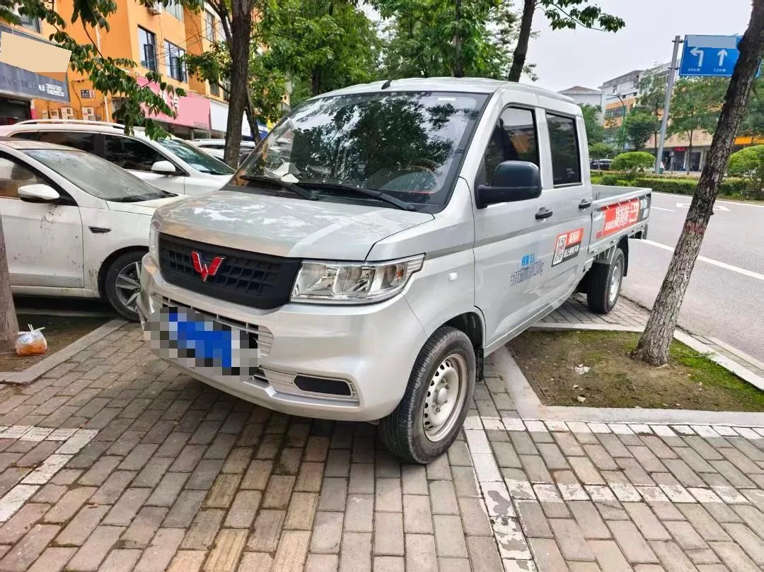 Wuling 2023 Rongguang New Truck 1.5 Double Cab Basic Model Manual Transmission