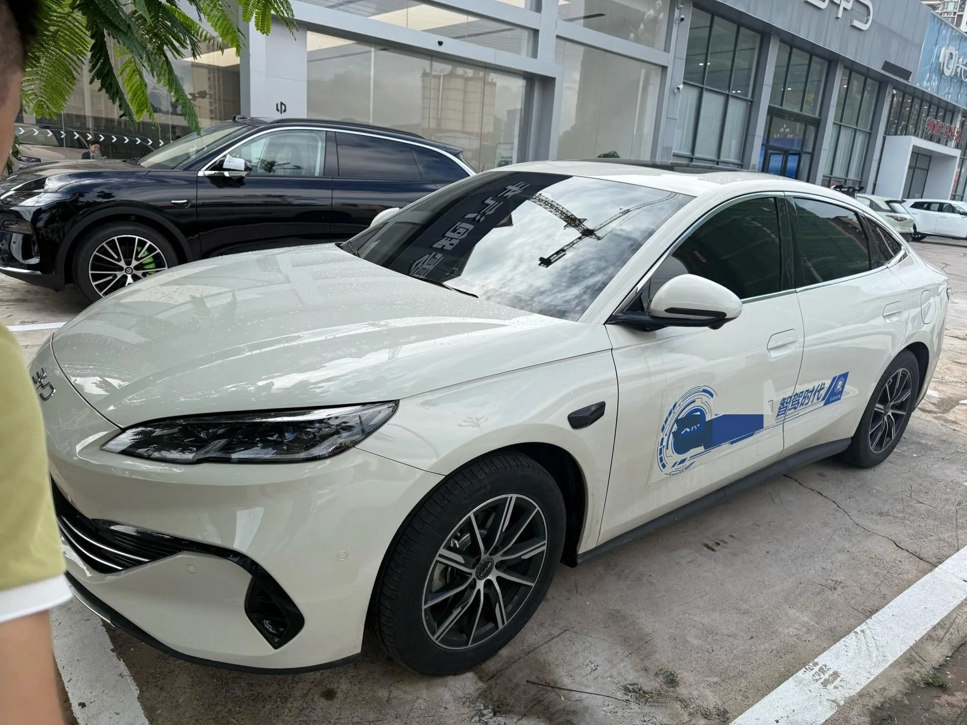 Qin L 2024 DM-i 120KM Super Edition