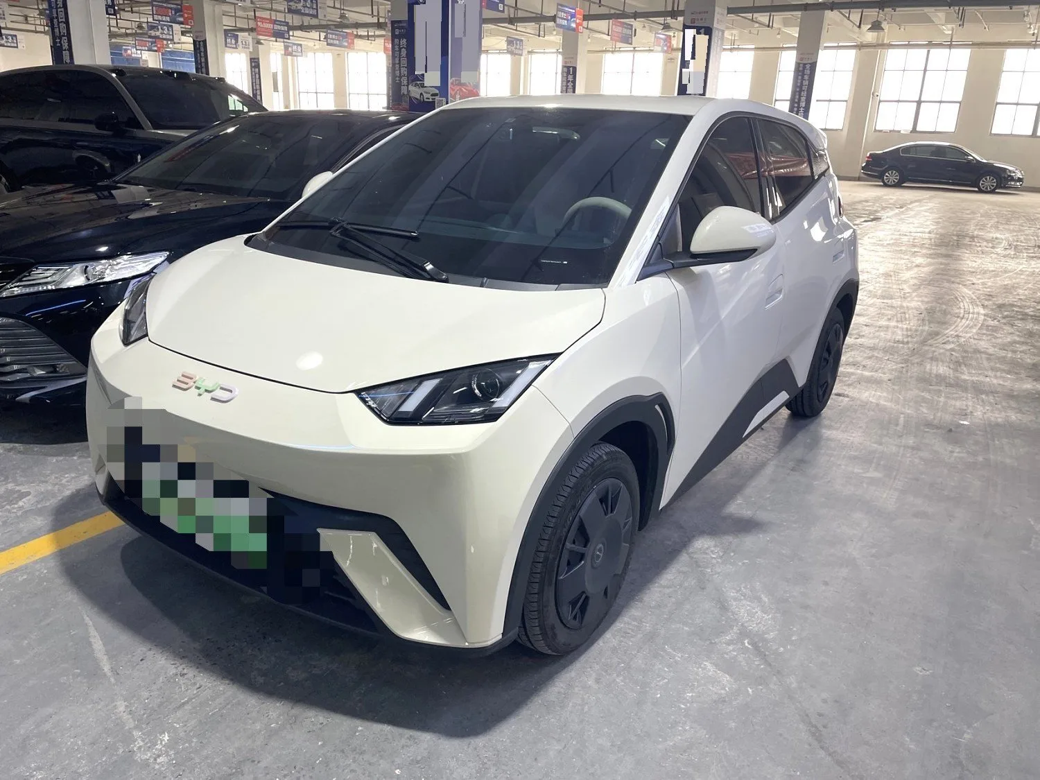 BYD 2023 Seagull Vitality Edition Automatic