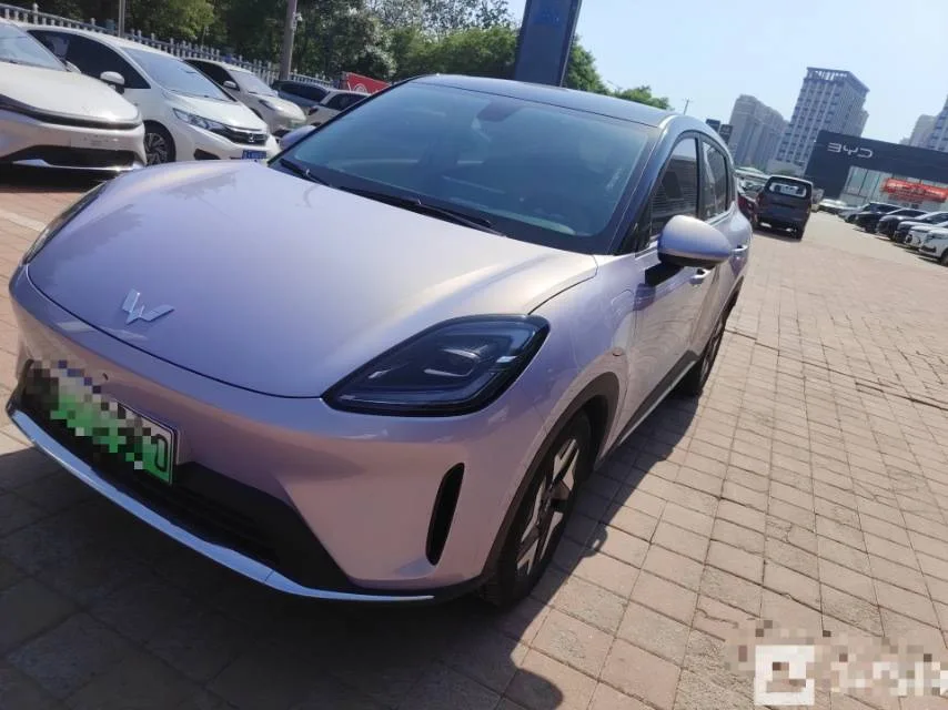 Bingo S 2025 Flagship Model 430km
