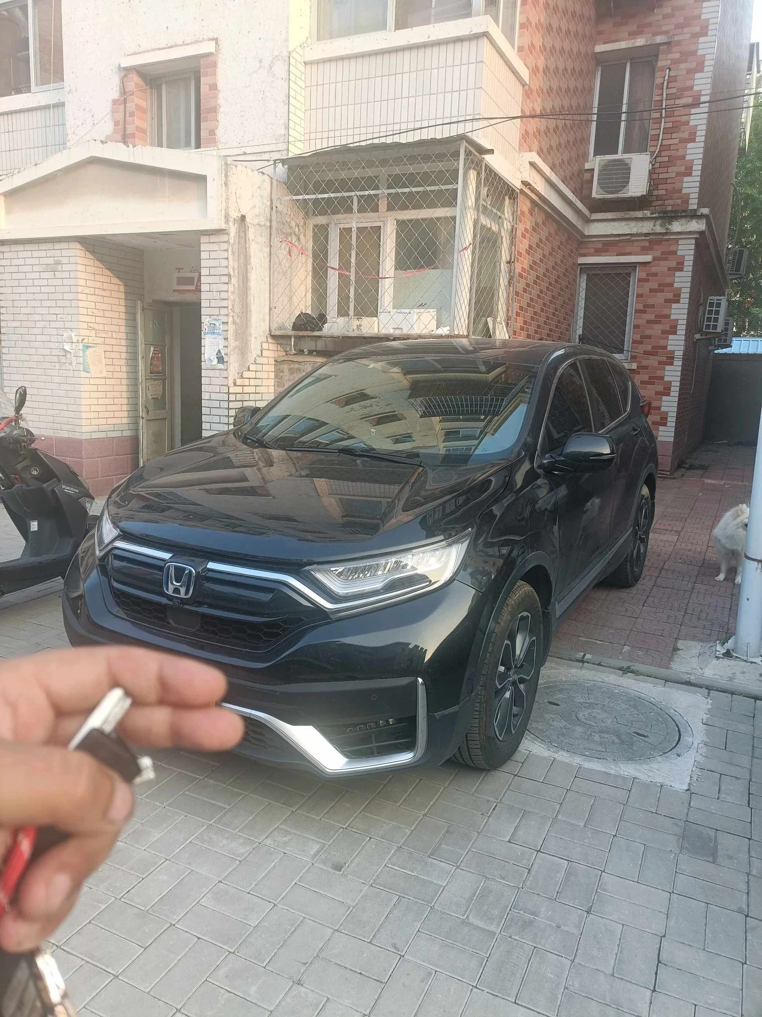 2021 Honda CR-V Sharp Hybrid 2.0L Front-Wheel Drive Net Drive Edition